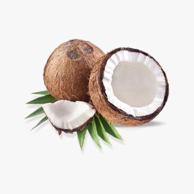 Doğal İtalyan Köfte Seti